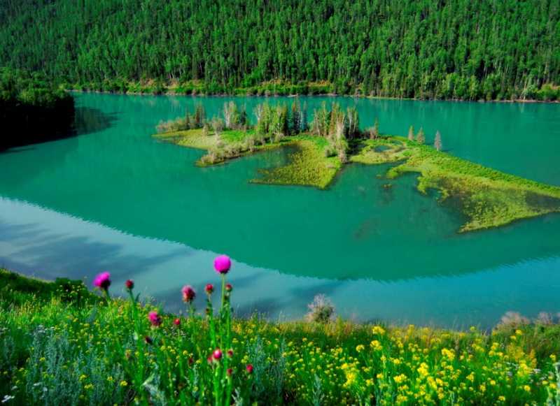 Heavenly lake+Kanas lake+Yili+Diverse leaved Poplar of southern Xinjiang 15 days tour