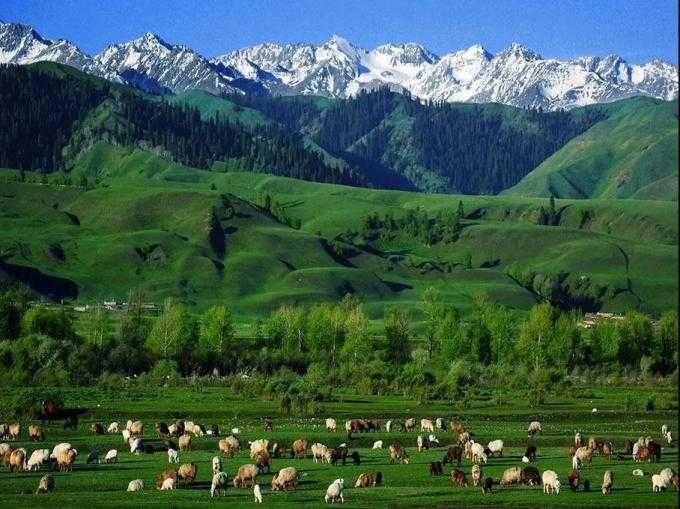 Heavenly lake Kanas and Ili 12days tour