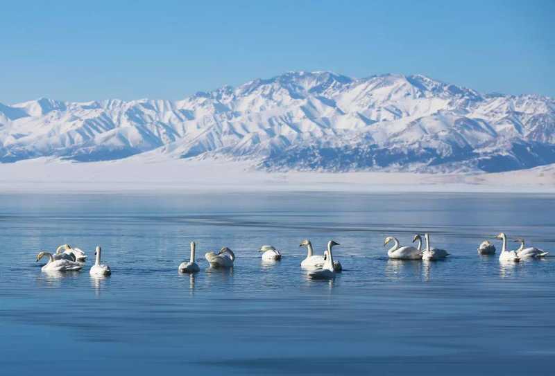 Xinjiang winter  -double lakes 8 days tour