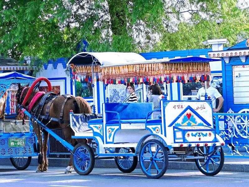 Ili deep experience and customization tour