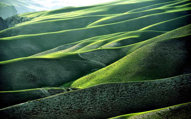 Ili deep experience and customization tour