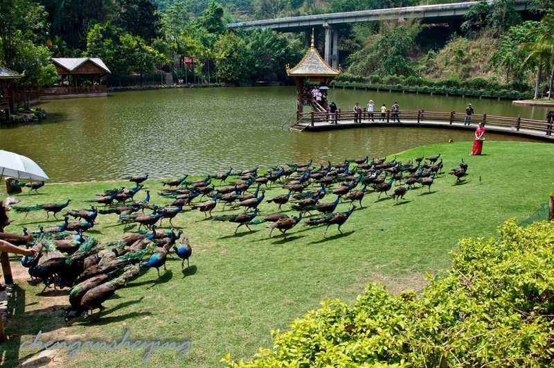 Yunnan-Xishaungbanna 8 days tour