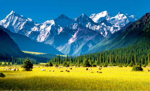 Northern and Southern Xinjiang 15 daystour