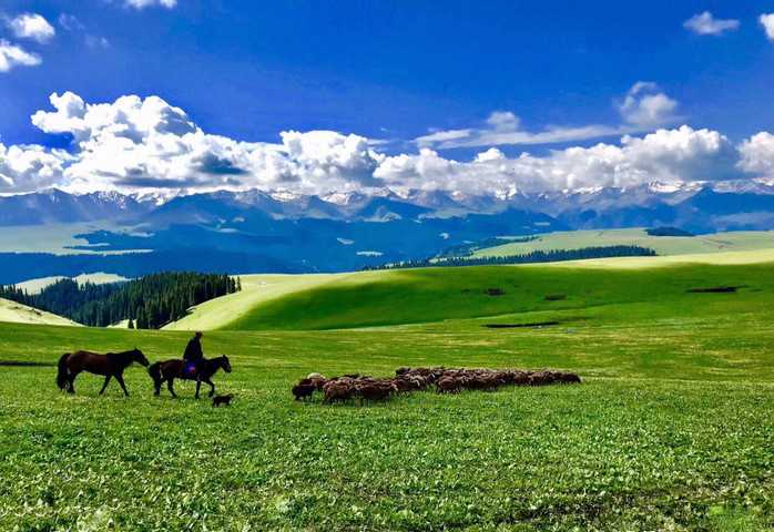 Northern and Southern Xinjiang 15 daystour